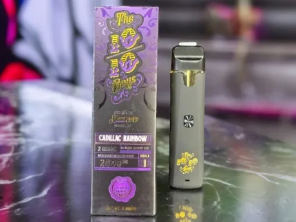 Buy 10/10 Disposable vape
