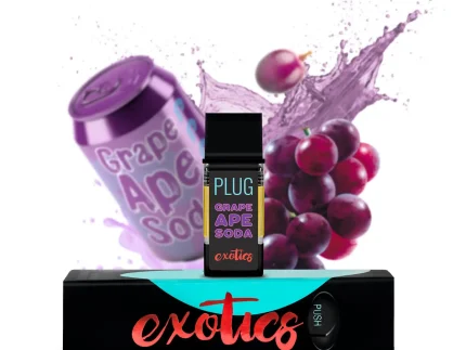 Buy GRAPE APE SODA