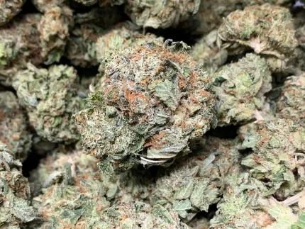 Buy Afghan Kush online