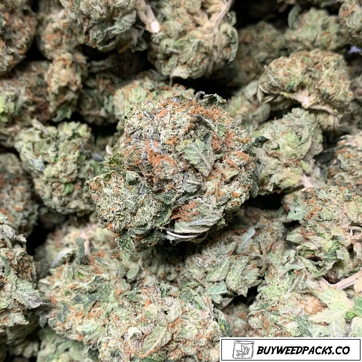 Afghan-Kush-Wholesale-Weed Buy Afghan Kush online