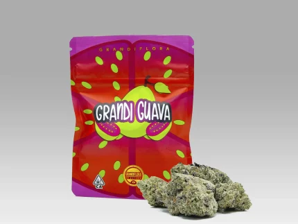Buy GRANDI GUAVA STRAIN