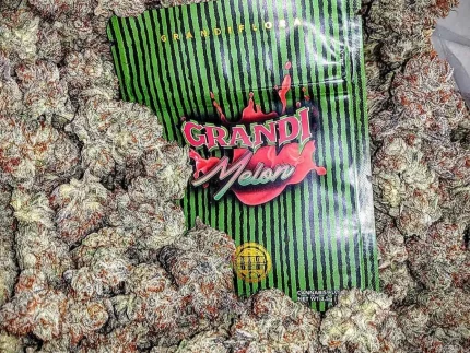 Buy Grandi Melon Strain