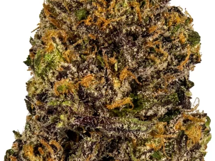 Buy Granddaddy Purple