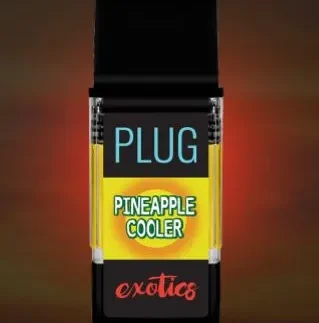 Buy PINEAPPLE COOLER