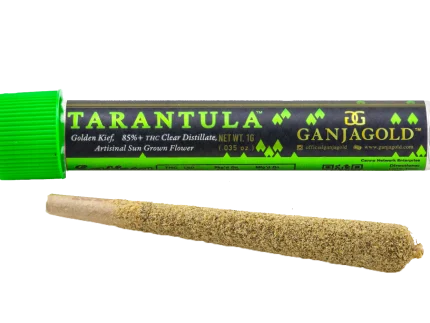 Buy Ganja Gold/King Tarantula