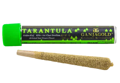 Buy Ganja Gold/Green Tarantula