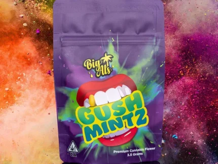 Buy Gush Mintz Strain | Big Al’s Exotics