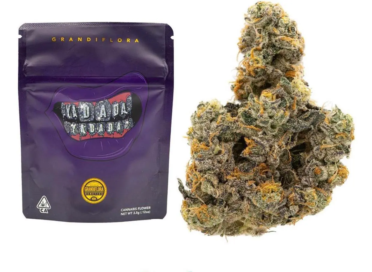Buy Yadada Strain Buy Yadada Strain