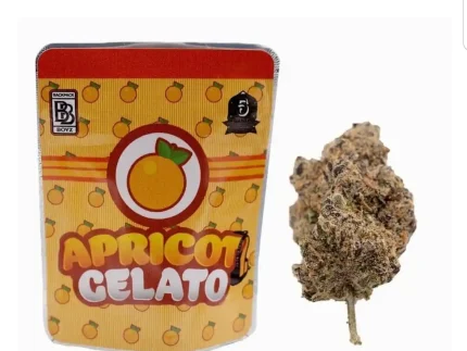Buy Apricot Gelato Strain | Backpackboyz