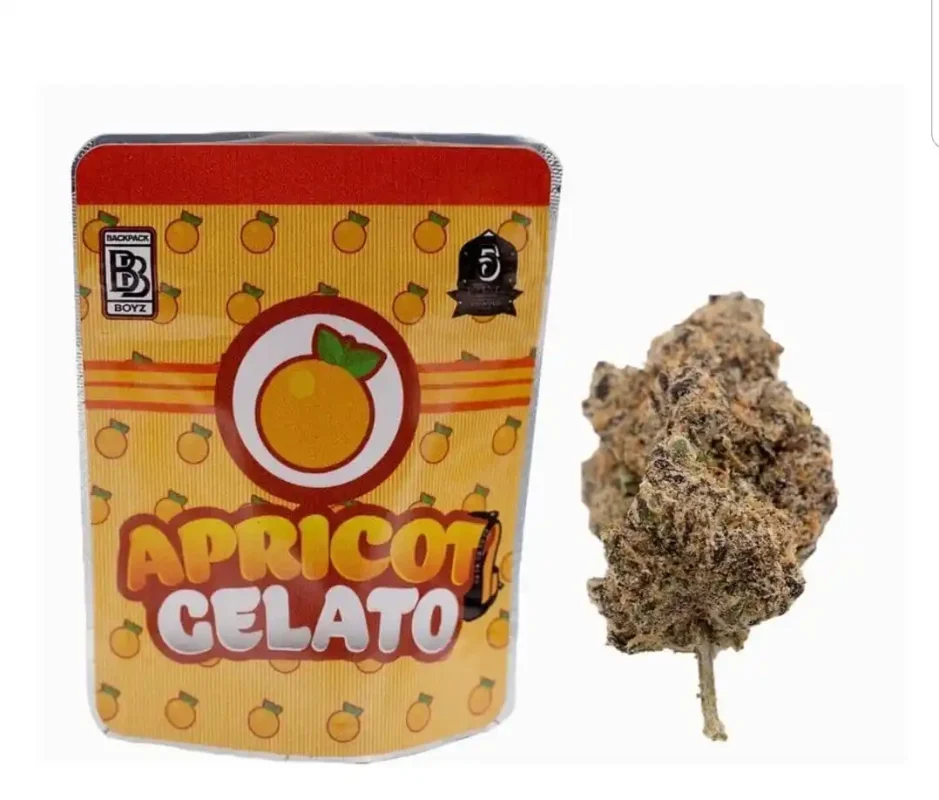 Buy Apricot Gelato Strain | Backpackboyz