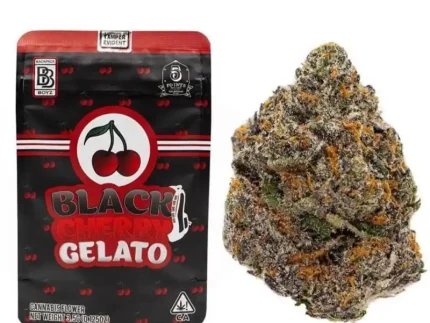 Black Cherry Gelato | Backpackboyz