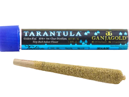 Buy Ganja Gold / Blue Tarantula