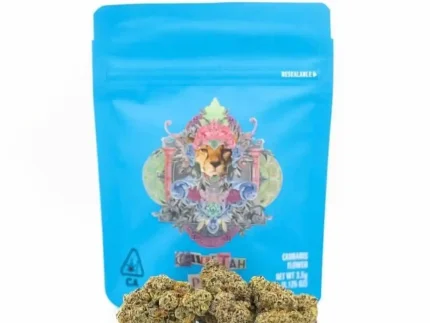 Buy Cheetah Piss Strain | Cookies