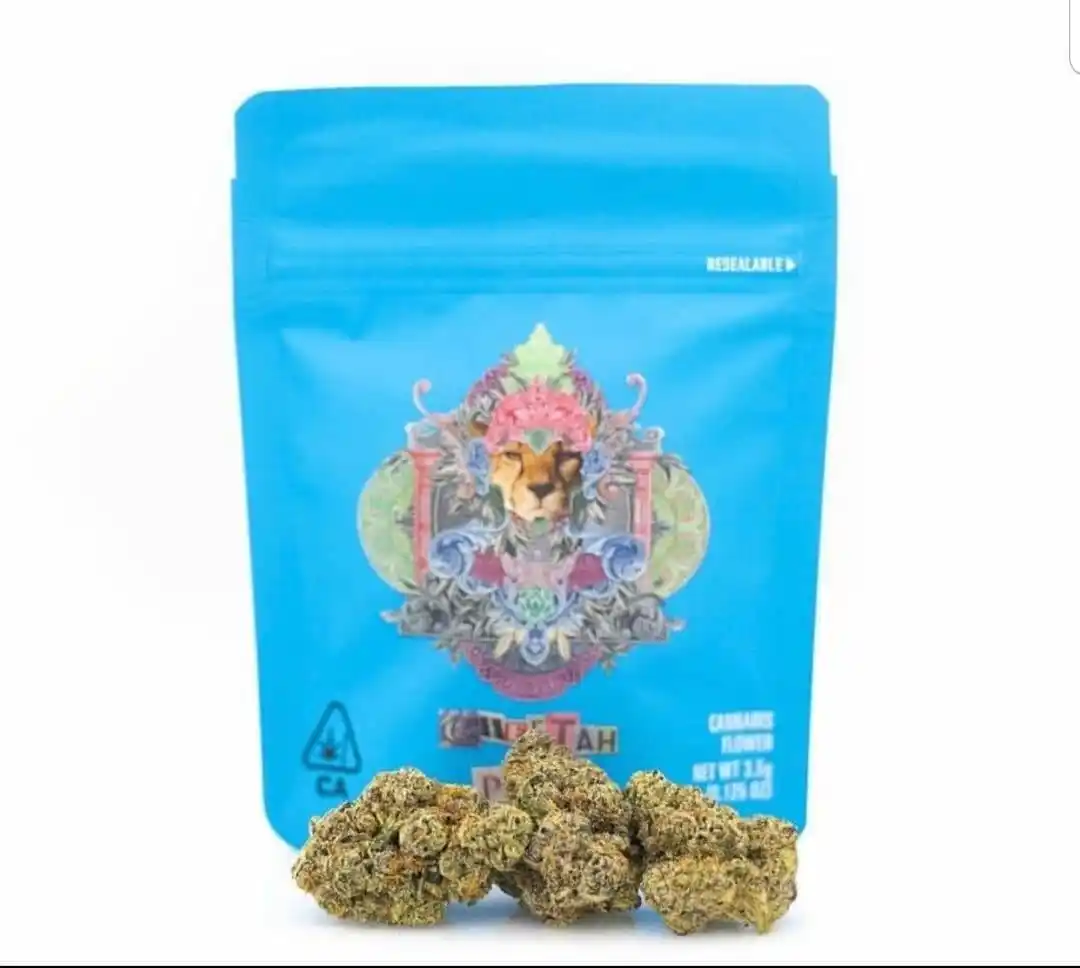 cheetah-piss-2 Buy Cheetah Piss Strain | Cookies