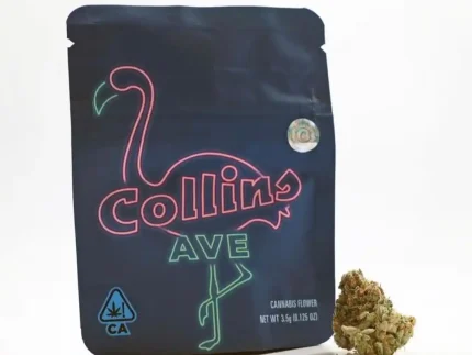 Buy Collins Ave Strain | Cookies