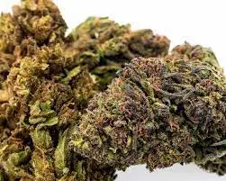 Buy Chemdawg Kush