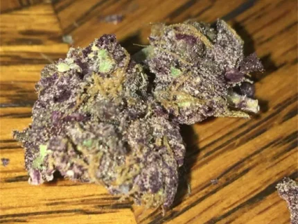 Buy Grape god