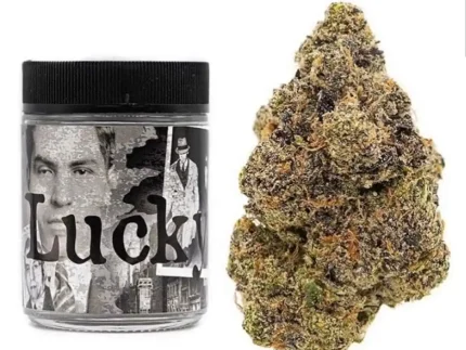 Buy Lucky Strain | Backpackboyz