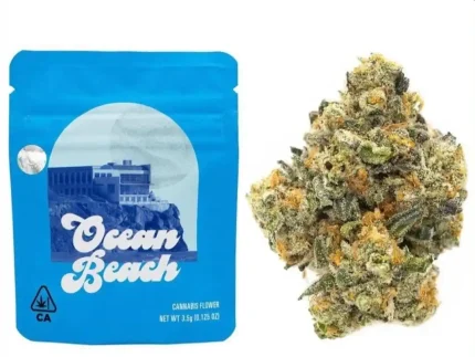 Buy Ocean Beach Strain | Cookies