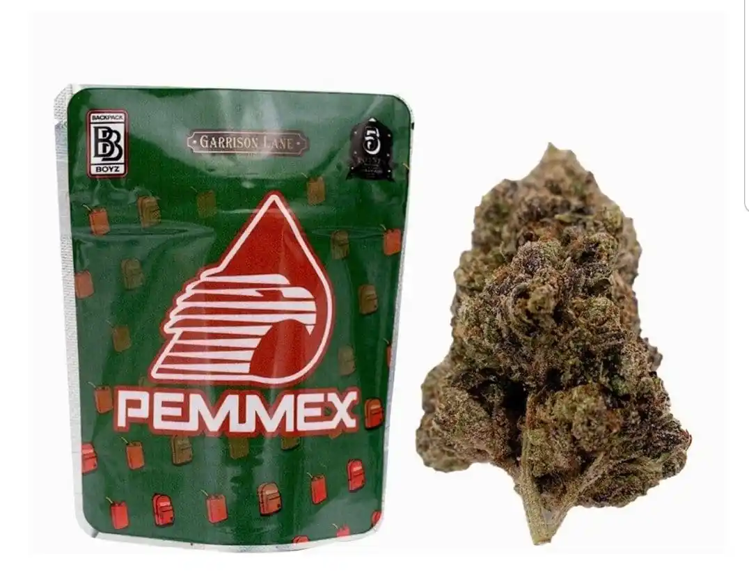 Buy Penmex Strain | Backpackboyz Buy Penmex Strain | Backpackboyz