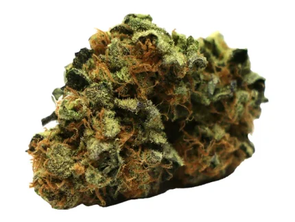 Buy Pineapple express