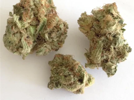 Buy Strawberry Cough Weed