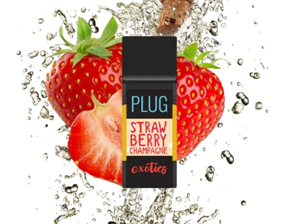 Buy Strawberry Champagne