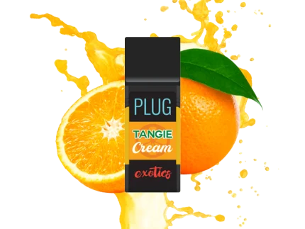 Buy Tangie Cream