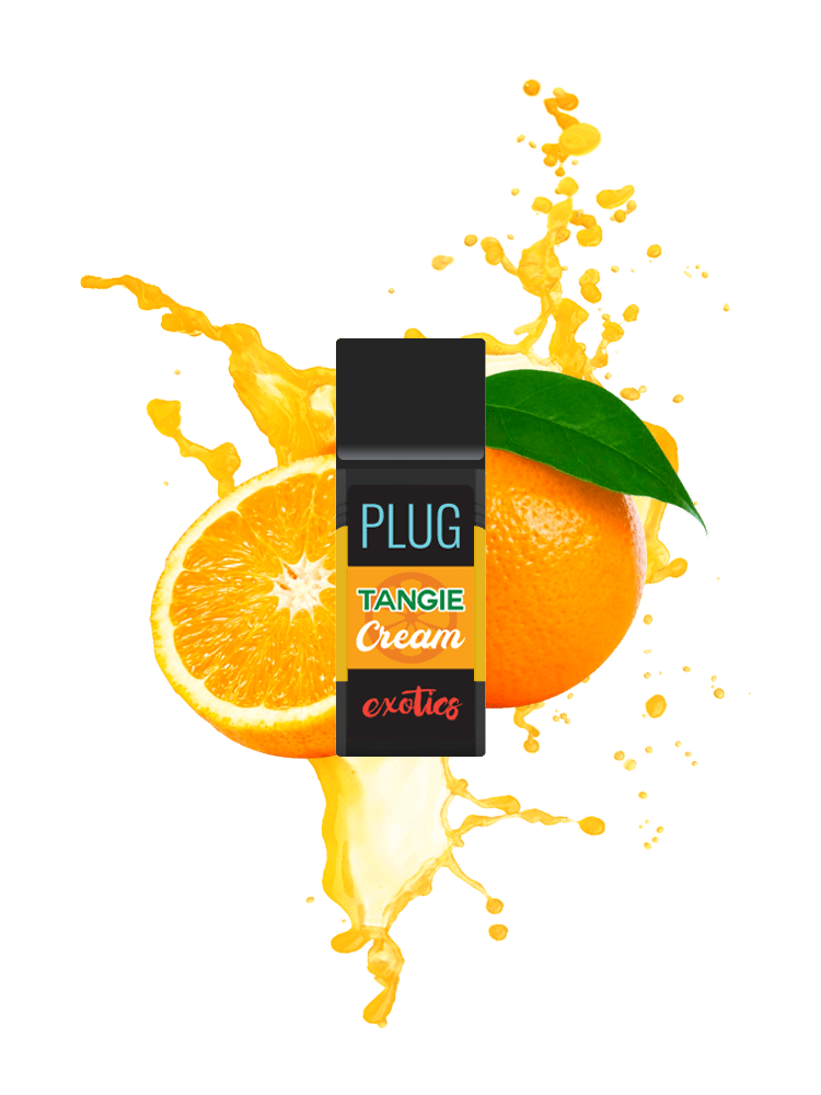 Buy Tangie Cream Buy Tangie Cream