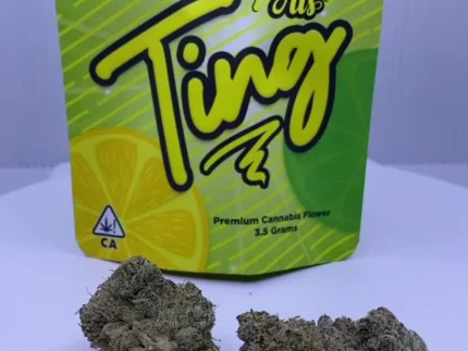 Buy Ting Strain Big Al’s Exotics
