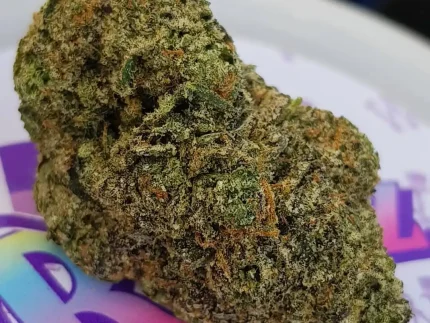 Buy White Runtz Strain