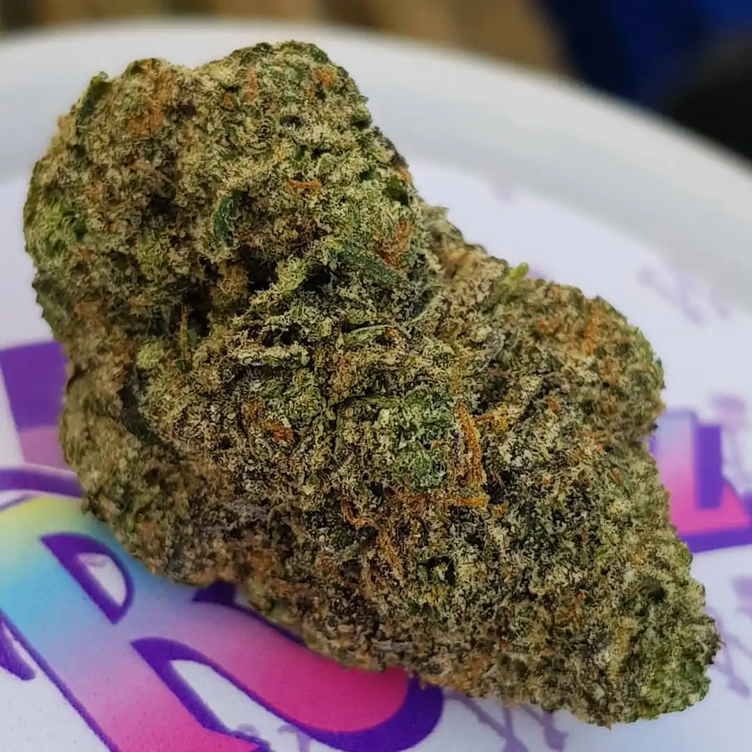 white-runtz Buy White Runtz Strain